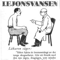 Lejonsvans såg